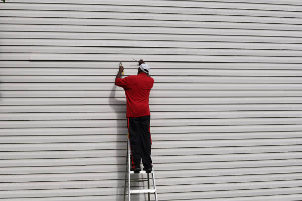 Best Fiber Cement Siding Installation  in Vinton, IA