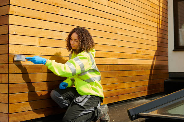 Best Siding Painting and Refinishing  in Vinton, IA